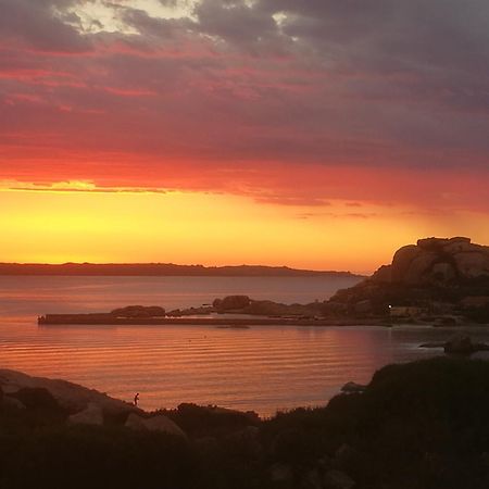 Appartamenti Crocetta La Maddalena  Oda fotoğraf